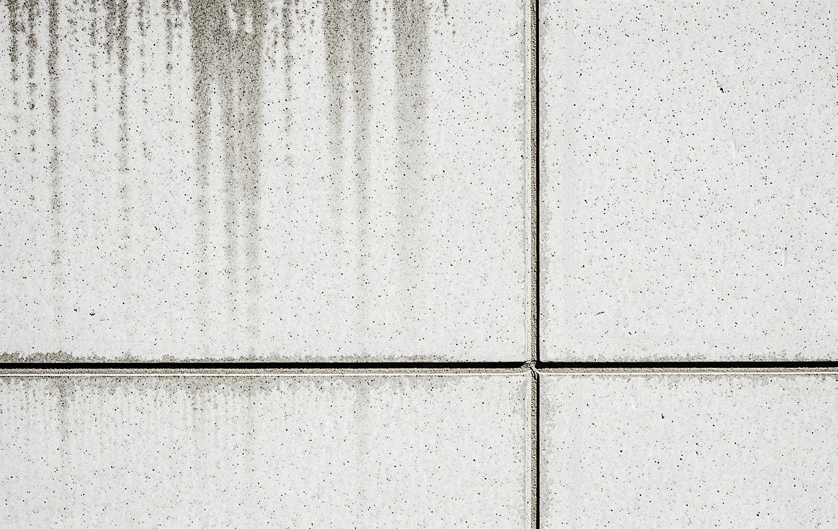 Texture background